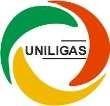 Logo Uniligas